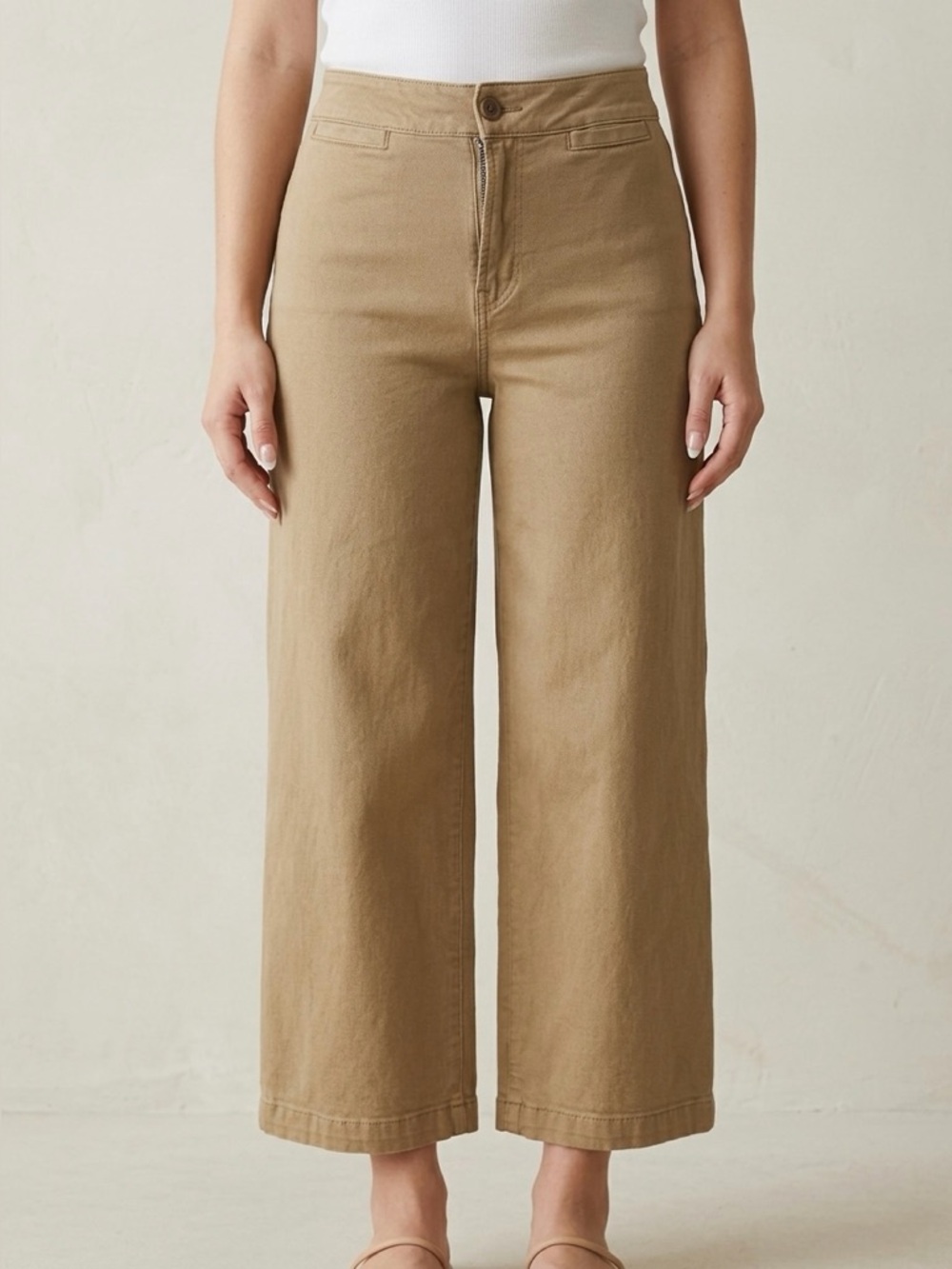 MADEWELL CURVY EMMETT WIDE-LEG Petite Crop Pant in Garment Dye Tan Khaki NP400
